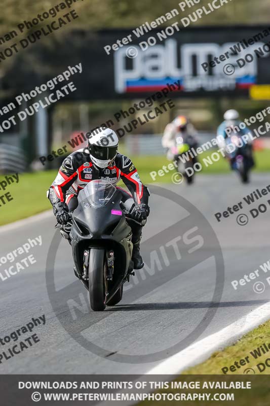 Oulton Park 21st March 2020;PJ Motorsport Photography 2020;anglesey;brands hatch;cadwell park;croft;donington park;enduro digital images;event digital images;eventdigitalimages;mallory;no limits;oulton park;peter wileman photography;racing digital images;silverstone;snetterton;trackday digital images;trackday photos;vmcc banbury run;welsh 2 day enduro